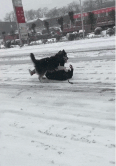 演技|搞笑GIF：人生如戏全靠演技，但是也太假了