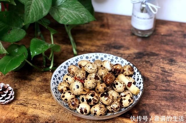 营养|它是动物中的人参,是零食又是菜,营养不输鸡蛋,我家隔三差五吃