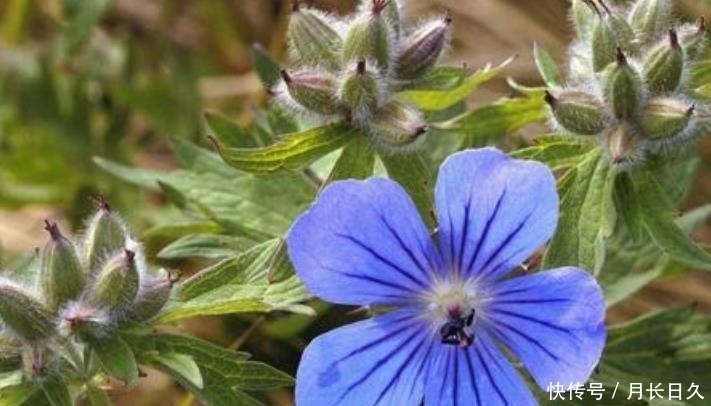 上旬|九月上旬开始,吉星傍身,鸿运当头,财运大涨的生肖