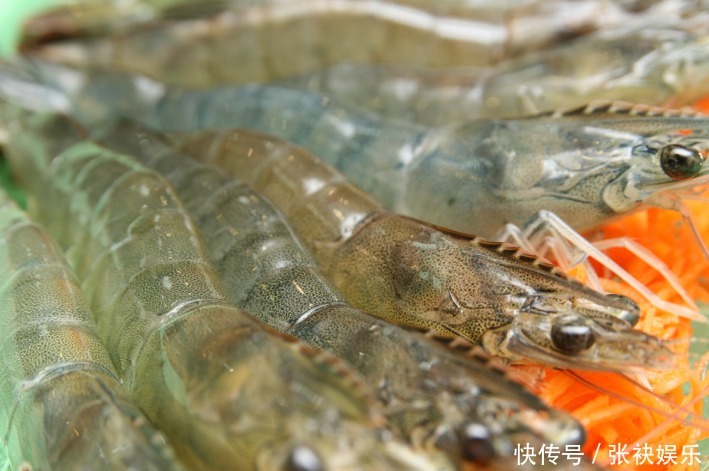 热水|煮虾,冷水煮还是热水煮这1步做错,难怪虾肉又老又腥,不入味