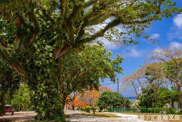 盖栋|滞留塞班5个月,每天追剧游泳看大海!盖栋别墅荒度余生