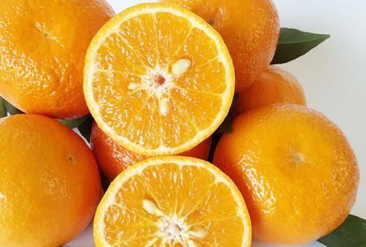  沃柑|生津止渴，降压降脂的沃柑，果农掌握几点管理来年大丰收沃柑