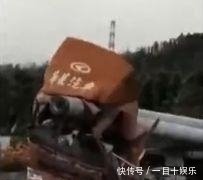  事故|事故车辆停靠不当，1吨重水泥柱捅爆驾驶室，司机却怎么也找不到