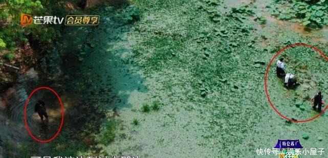 播片|《向往的生活》未播片段长达一小时,宋威龙摸河蚌,汪苏泷又偷懒