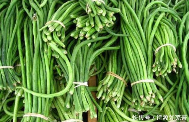  将豆角|吃不完的豆角，不要直接放冰箱，老菜农教您一招，放一年都不会坏