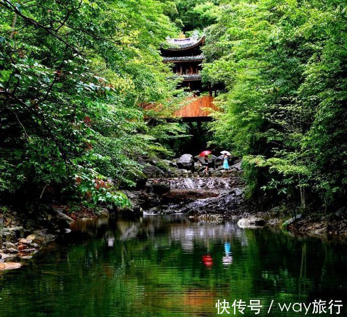 森林|高温席卷的初夏,不如去这些堪比童话仙境的小众森林里乘个凉!