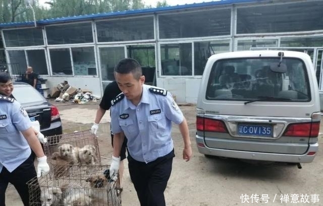  月份|“躲猫猫？”7月份的一通电话，让民警叔叔都忙坏了！