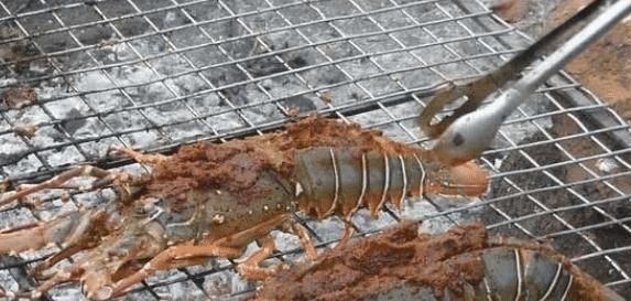 新鲜|印度人卖的新鲜龙虾,野外直接烤了吃,刚放到火上,顾客就走了