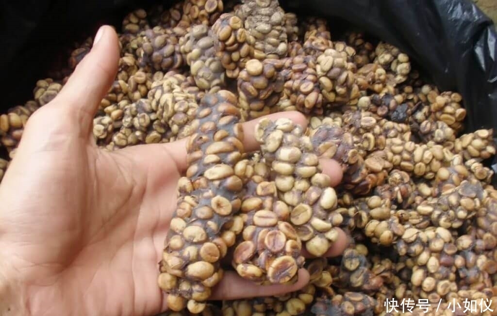 开放|瑞典开放”最恶心“食品博物馆,意大利的口味太重,第六种有人给伸冤