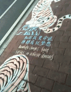 爸妈|搞笑GIF:爸妈才是真爱,我只是个小小的意外!