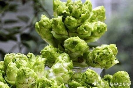 特色|人称“母子菜”，口味清香炒肉是一绝，不知有那么多作用，可种吗