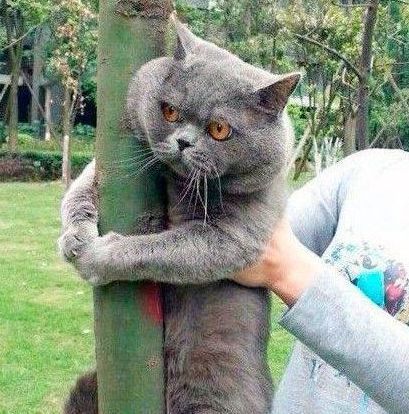 男人|爆笑段子:有一天喝多了,看到身边一个男人抽烟弹烟