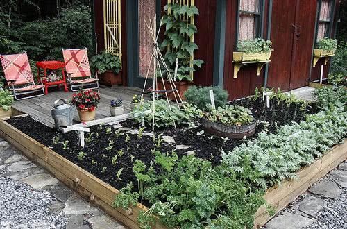 羡慕|13个“私家菜园”好吃又好看,网友直呼太羡慕了