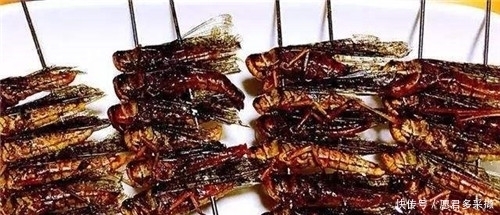 条件|古代发生蝗灾,灾民为何宁可挨饿也不抓蝗虫吃?灾民:想吃但不能