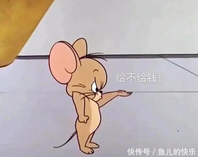 土豆泥|表情包:考你一道题,土豆变成土豆泥,我能变成什么泥