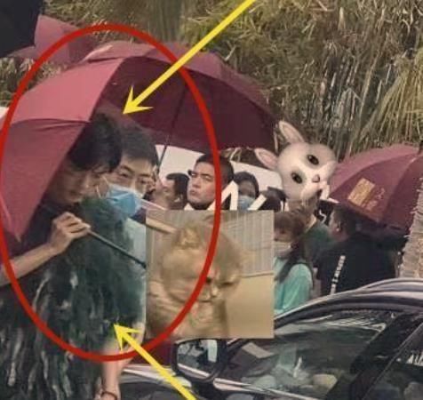 录制|肖战复出录制综艺,为何却选择把综艺首秀给了蓝台