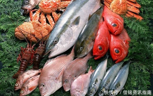 小方法|怎样保存鲜鱼直接放冰箱就错了,多加1步,随时吃都新鲜