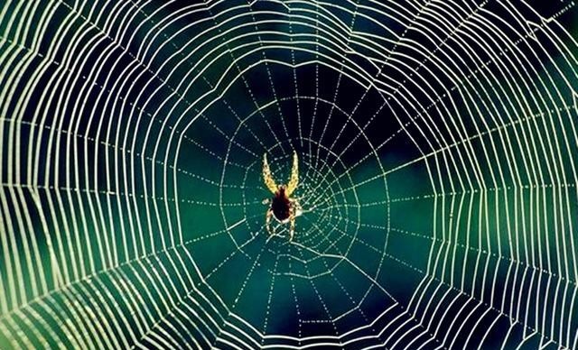 古代|古代战场上，为什么士兵都会拼死护住将军？若不护的话后果很严重