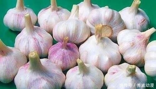 大蒜|大蒜保存原来这么简单,放1年不发芽不干瘪,再也不怕大蒜长芽了