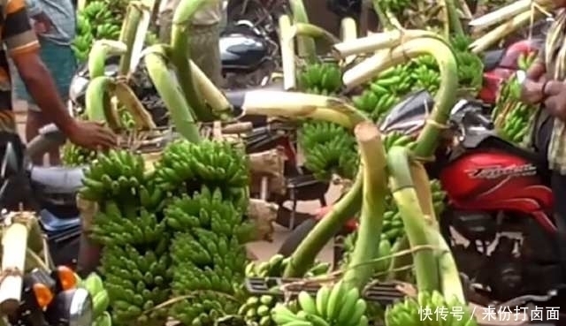 印度|它被中国当成垃圾,在印度却比肉还受欢迎,网友惊呆这个不能吃