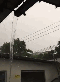 搞笑|搞笑GIF：为了一个渣男，至于么，他不要你我要你