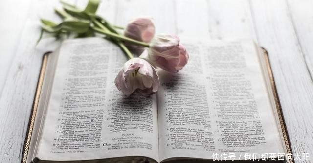 林徽因|爱上不该爱的人,一定要及时止损