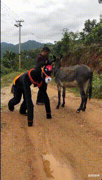  腰力|搞笑GIF：妹子这腰力，要逆天了！