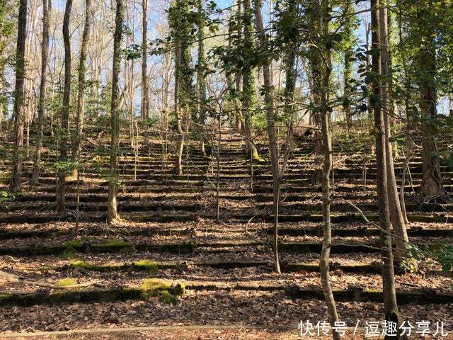 无所不能|那些人类遗忘的角落,大自然无所不能