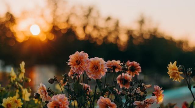  再见|“爱你那么久，到后也没舍得说再见”