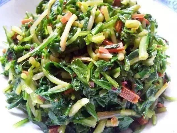 苍南|春风十里 不如苍南这几道时令美食!你尝了吗?