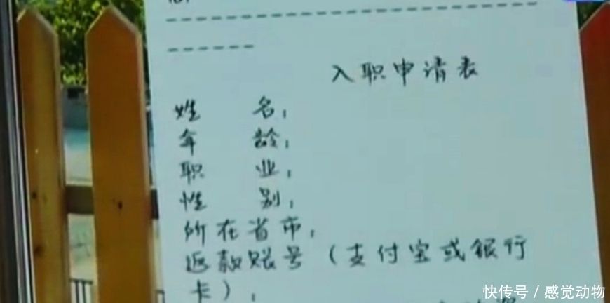 兼职|大学生做兼职，刷单刷了31000元，网友：老把戏了还上当！