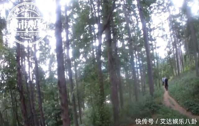 遗书|妻子突然发来遗书!定位显示在深山,找到时人已不省人事