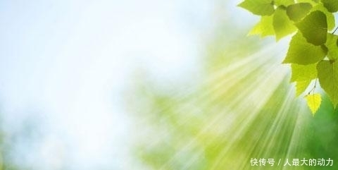 道德经|《道德经》:生态智慧