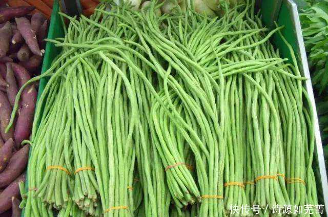 将豆角|吃不完的豆角,不要直接放冰箱,老菜农教您一招,放一年都不会坏