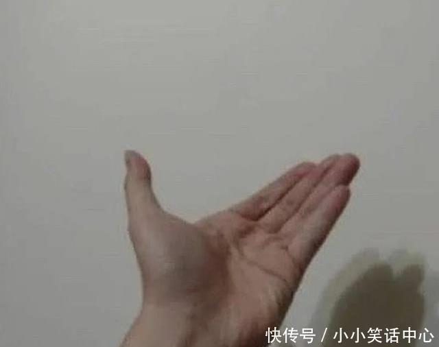 手机|“求大家帮我儿子取个名吧!”网上取名被网友评论笑到窒息哈哈