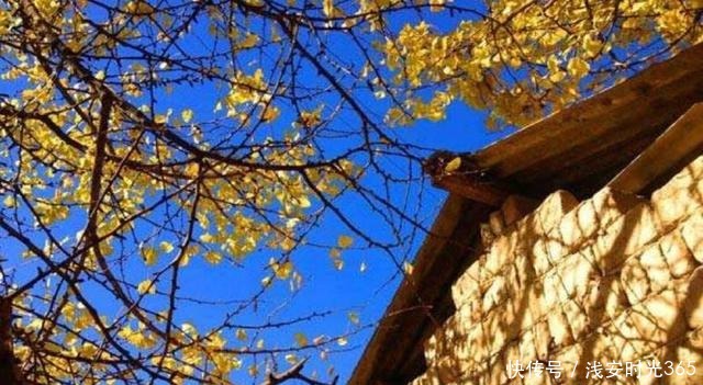 真准|喝一次酒,就看出一个人的性情!真准!(深度好文)