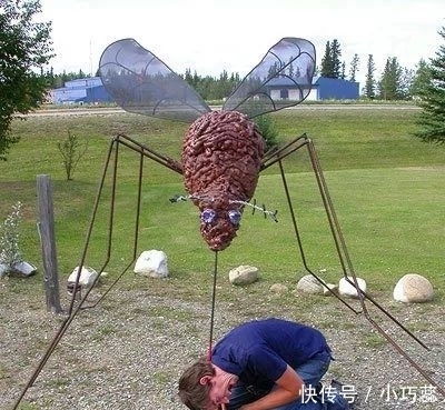 人类|跟蚊子大战数千年,人类终于要扳回一局了?