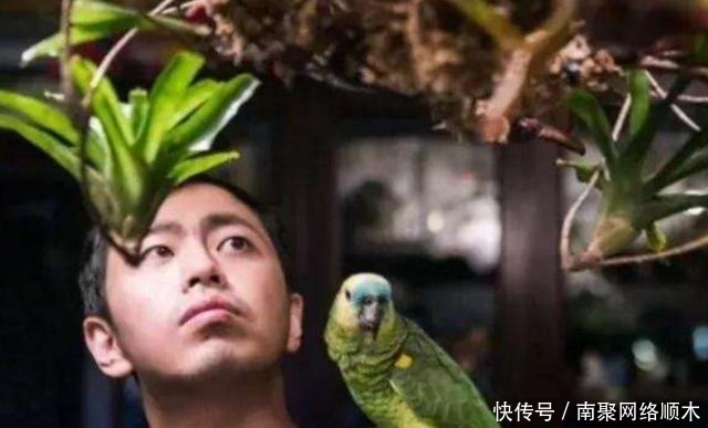  节目当中|参加过《最强大脑》的人如今在从事什么工作了？说出来你可能不信