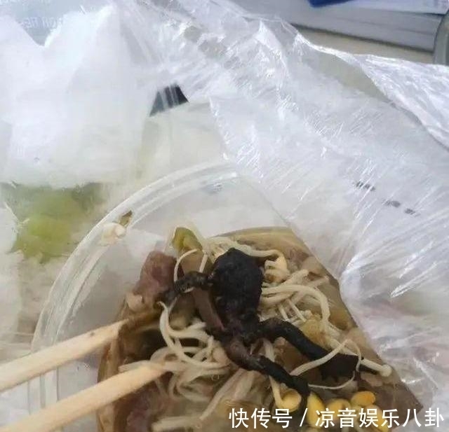 食品安全|女子点了份外卖,却吃出一只完整癞蛤蟆?商家:你恶心到我了