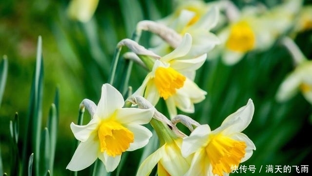 前程似锦|在7月中旬,逢凶化吉,柳暗花明,前程似锦的三大星座