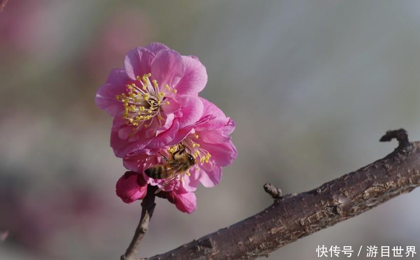 反转|下周开始，运势反转，厚积薄发，生活满是好消息的3大星座