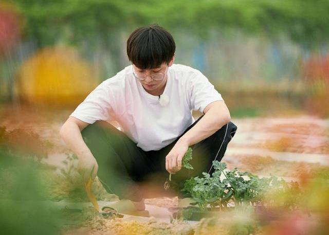 吐槽彭昱畅|黄磊吐槽没人会嫁给彭彭,谭松韵的话太扎心,张子枫灵魂拷问懵了