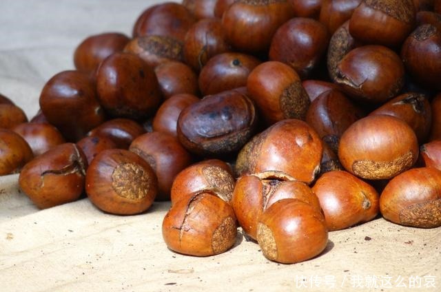  轻轻|板栗这样做，不用蒸也不用煮，个个开花又起沙，轻轻一剥壳就掉