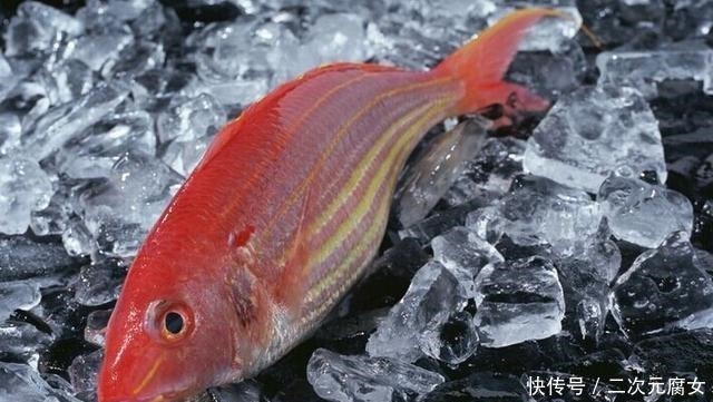 价格|以后去市场买这5种鱼,连鱼铺老板都会夸你是行家