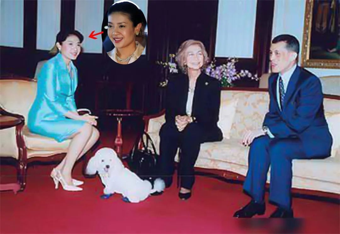 智力|提帮功智力障碍有原因，西拉米怀孕前后，一直陪伴着“空军元帅”