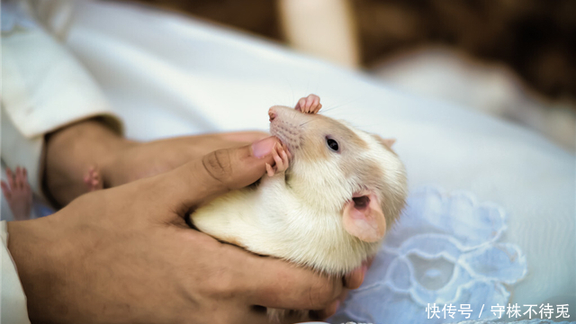 奇怪|22个冷知识:真实存在着,但只有少数人知晓的奇怪知识