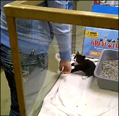 妹子|妹子,大晚上的,你穿这么清凉怎么躺在马路上,多危险啊!