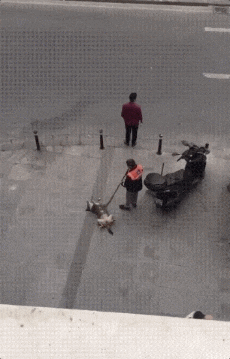  GIF|搞笑GIF：你们对篮球一无所知，真是丢人