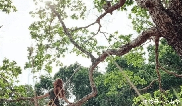  摄影|摄影：树上的风景比不上树下的风景
