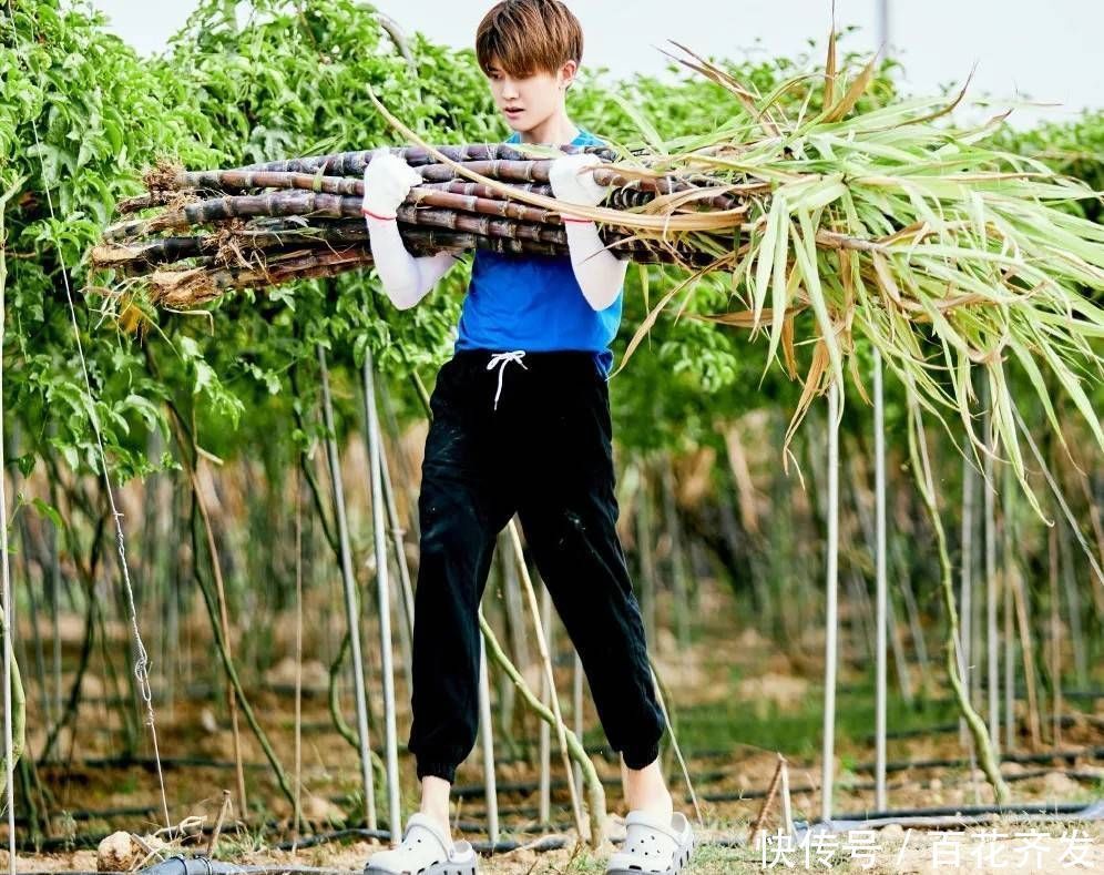  节目|他是《向往》最懒嘉宾一觉睡到中午吃饭，穿着睡裤离开蘑菇屋